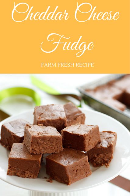 Cheese Fudge Recipe, Cheese Fudge, Holiday Fudge Recipes, Holiday Fudge, Easy Christmas Candy Recipes, Farm Fresh Recipes, Homemade Fudge, Christmas Candy Recipes, Candy Recipes Homemade