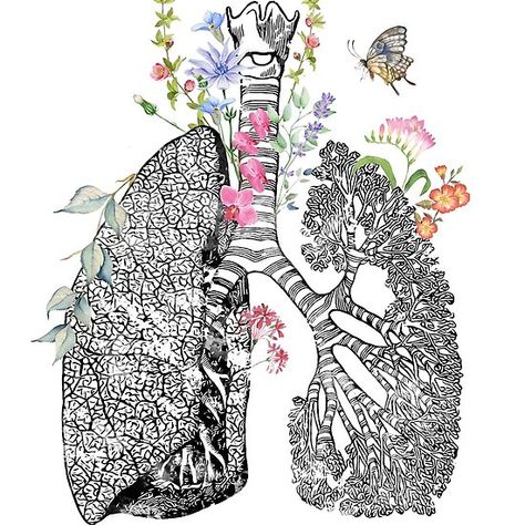 Lungs Art Lungs Art Drawing Beautiful, Lungs Art, Heart Organ, Boho Art Drawings, Anatomy For Artists, Medical Art, Anatomy Art, Anatomy, Metal Posters