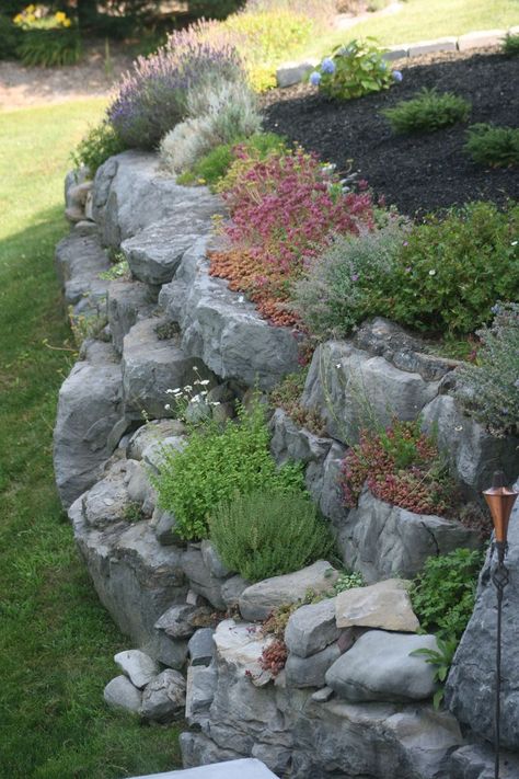 Diy Garden Landscaping, Rock Garden Plants, Rock Garden Design, Vertical Garden Diy, Sloped Garden, Walled Garden, Rock Garden Landscaping, Have Inspiration, Rock Wall