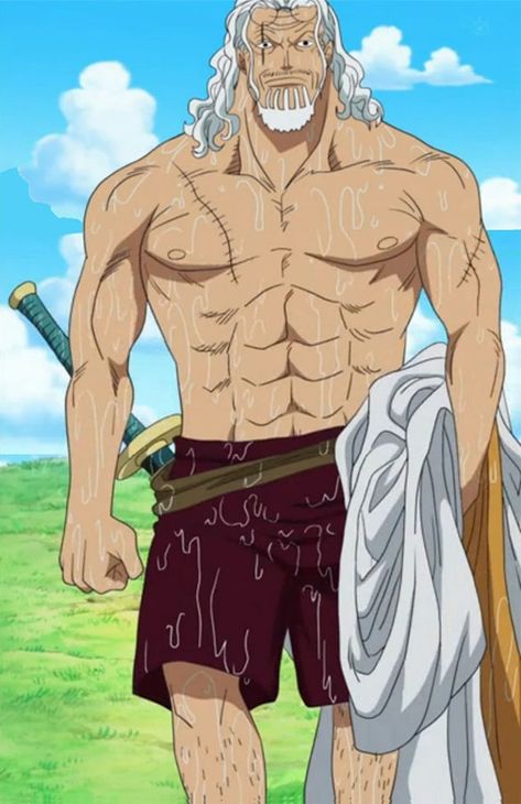 Silvers Rayleigh | One Piece Wiki | Fandom Raleigh One Piece, Barba Branca One Piece, Silvers Rayleigh, Walter Raleigh, One Piece Merchandise, Hair Clean, Studio Portrait Photography, The Pirate King, Nami One Piece