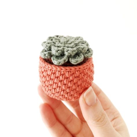 Crochet Mini Succulent Pattern Free, Car Plant Hanger, Crochet Cactus Free Pattern, Succulent Pattern, Knitting Gloves Pattern, Crochet Succulent, Crochet Garden, Plant Accessories, Crochet Toys Free Patterns