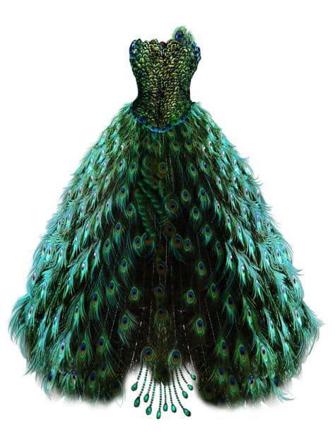 Peacock Wedding Dresses, Peacock Feather Dress, Cer Nocturn, Dress Png, Peacock Costume, Peacock Dress, Peacock Wedding, Fantasy Gowns, Pageant Dress