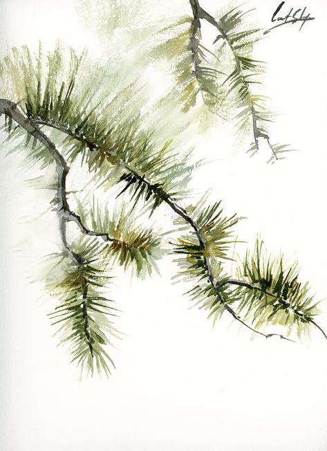 Modern Minimalist Painting, Pine Tree Drawing, Tree Branch Art, Branch Drawing, Pine Tree Painting, Branch Art, Painting Green, Watercolor Painting Techniques, Watercolor Trees