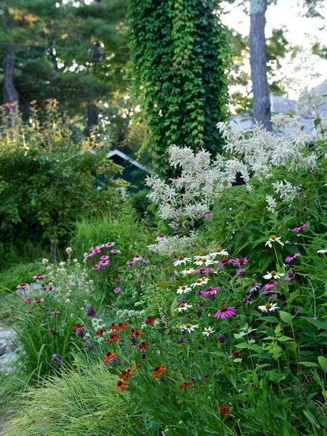 Wild-ish at Heart: Naturalistic planting design - The New Perennialist Naturalistic Design, William Robinson, Naturalistic Garden, Tattoo Plant, Dutch Gardens, Piet Oudolf, Planting Design, Wild Flower Meadow, Wild Garden