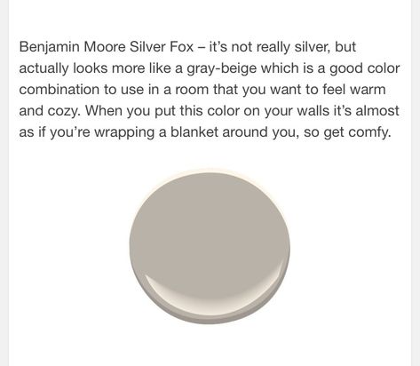 Benjamin Moore Silver Fox Paint, Silver Fox Paint Benjamin Moore, Bm Silver Fox Paint, Wasabi Decor, Silver Fox Benjamin Moore, Darryl Carter, Living Room Paint Color Ideas, Living Room Paint Color, Guest Bedroom Remodel