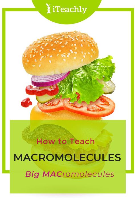 BIOLOGY LESSON - HIGH SCHOOL SCIENCE - SCIENCE - FREE BIOLOGY - TEACHER RESOURCES -Macromolecules - BIG MACromolecules - An excellent way to engage your students when teaching them about macromolecules is to look at the different food groups and relate it to what they eat Click now to discover this full free Biology lesson perfect for your Biology classroom - Great Homeschool resource too! #iteachly #biology #biologylesson #freesciencelesson #science #highschool #homeschool #teacherresources Macromolecules Biology, Highschool Classroom, Homeschool Highschool, Chemistry Worksheets, Biology Classroom, Importance Of Time Management, High School Hacks, Biology Teacher, Biology Lessons