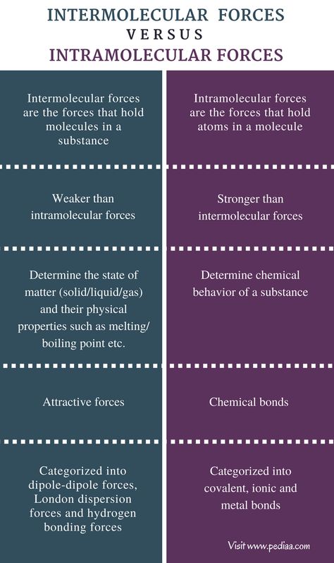 Difference Between Intermolecular and Intramolecular Forces | Definition, Features, Characteristics Intermolecular Forces Chemistry, Intermolecular Forces, Chemistry Revision, Biochemistry Notes, Mental Models, Environmental Chemistry, General Chemistry, Gcse Chemistry, Science Cells