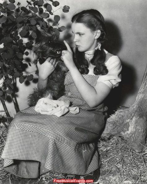 Judy Garland as Dorothy behind the scenes in The Wizard of Oz. Wizard Of Oz Movie, Wizard Of Oz 1939, Oz Movie, Dorothy Gale, The Wonderful Wizard Of Oz, The Wizard Of Oz, Judy Garland, The Wizard, Golden Age Of Hollywood