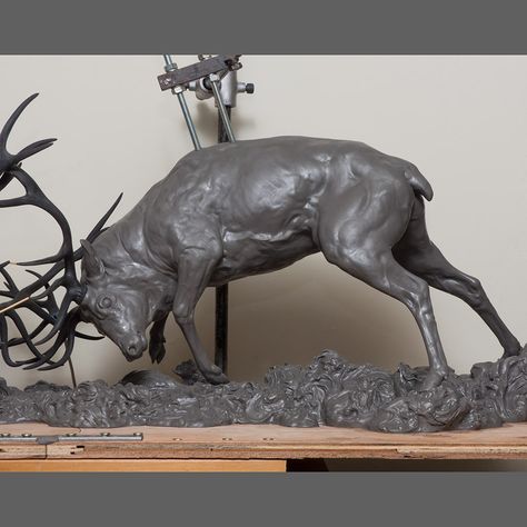 Goat Anatomy, Deer Anatomy, Elk Sculpture, Celtic Stag, Vizsla Art, Sculpture Images, Deer Stags, Art Folder, Red Deer