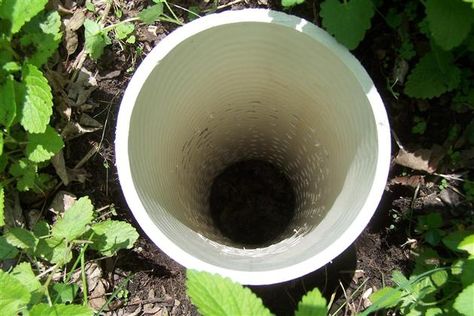 DIY Worm Tower For Your Garden : drill lots of holes in a pvc pipe. Bury all but 6 inches in garden. Place kitchen scraps in the hole. Worms will come in and eat and then transfer the "goodies" throughout the garden. Worm Tower, Kitchen Scraps, Watering Plants, Backyard Gardening, Garden Compost, Unique Gardens, Pvc Pipe, Veggie Garden, Back To Nature