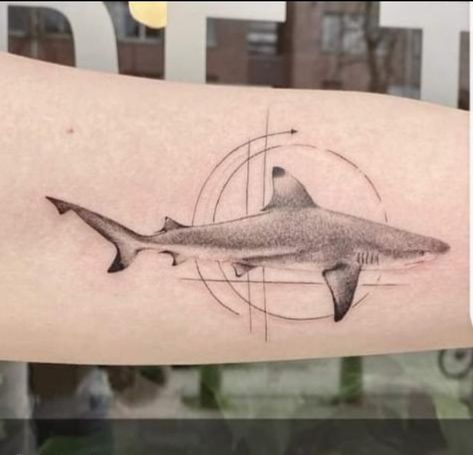 Shark Forearm Tattoo, Shark Tattoo, Inner Forearm, Shark Tattoos, Nature Ocean, Hand Poke, White Tip, Aquatic Animals, Little Tattoos