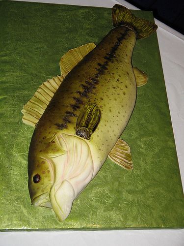 All sizes | Largemouth Bass 3 | Flickr - Photo Sharing! Fishing Cake Ideas, Bass Fish Cake, Fishing Cake, Sculpted Cakes, Fishing Party, Bass Fish, Fishing Birthday, Largemouth Bass, Fishing Decor