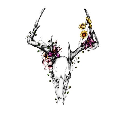 Persephone Tattoo, Deer Skull Tattoos, Stag Tattoo, Country Tattoos, Loki Avengers, Western Tattoos, Aries Tattoo, Deer Tattoo, Deer Skull