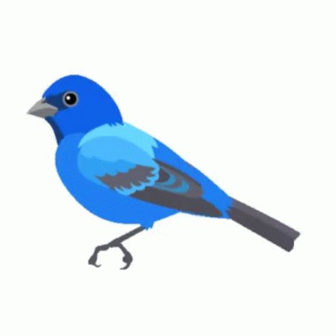 Bird GIF - Bird - Discover & Share GIFs Free Cartoon Characters, Bunting Bird, Creative Story Ideas, Indigo Bunting, Snowmen Activities, Love Couple Wallpaper, Cartoon Birds, Bird Gif, Black Background Images