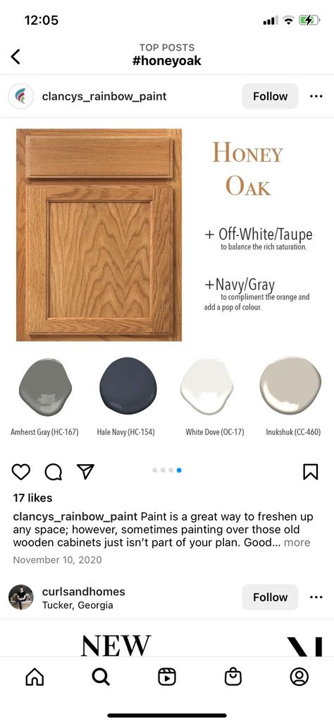 Colors That Compliment Honey Oak, Oak Cabinet Color Palette, Basement Paint Colors With Oak Trim, Paint To Compliment Honey Oak, Honey Oak Color Palette, Paint Colors That Go With Honey Oak, Kitchen Color Schemes With Oak Cabinets, Kitchen Paint Colors With Oak Cabinets, Painting Honey Oak Cabinets