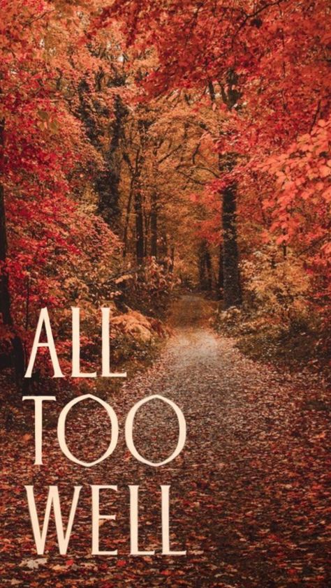 All too well All To Well, All Too Well, All Is Well, Autumn Aesthetic, Taylor Alison Swift, Phone Wallpapers, My Aesthetic, Phone Wallpaper, Swift