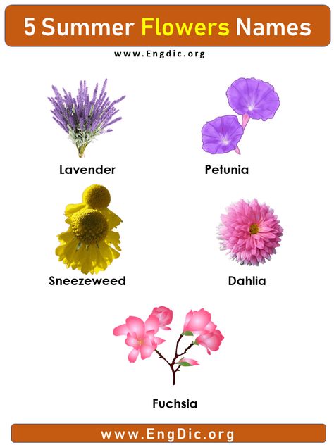 5 Summer Flower Names with pictures Summertime is a time for picnics, barbecues, and of course, flowers. While most flowers are available year-round, there are some that are only available in the summer. Here are 5 summer flowers names with pictures. FUCHSIA DAHLIA SNEEZEWEED PETUNIA LAVENDER Summer Flower Names with pictures FUCHSIA Fuchsia is a flowering plant in the Onagraceae (also known as the Asteraceae) family. It has showy, colorful flowers, and it is often used in bouquets of flowers. I Flower Names And Meanings, Flowers Name With Pictures, Flowers Name, Bouquets Of Flowers, Names And Meanings, List Of Flowers, Hindi And English, Flowers Images, Canvas Painting Designs