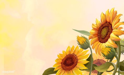 Hand drawn sunflowers on a yellow background illustration | premium image by rawpixel.com Sunflower Stuff, Sunflower Frame, Rosas Vector, Blooming Sunflower, Watch Wallpapers, Beautiful Frames, Ppt Background, Sunflowers Background, Sunflower Drawing