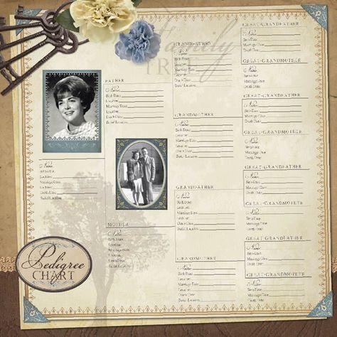 Think I might be able to use this for my genealogy book Ancestry Scrapbooking Layouts, Ancestry Scrapbooking, Heritage Scrapbook Pages, Craft Tree, Genealogy Ideas, Gathering Ideas, Genealogy Scrapbooking, Relationship Chart, Family Tree Research