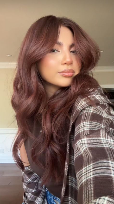 Hair Dye Ideas For Long Brown Hair, Mahagoni Hair Color Brown, Deep Red Hair Pale Skin, Red To Brunette Hair, Curly Mahogany Hair, Color Inspo Hair, Pretty Natural Hair Colors, Pink Toned Brown Hair, Brownish Reddish Hair