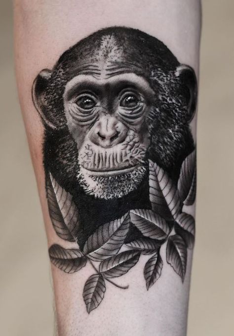 Black & Gray Chimpanzee Tattoo - TattManiaTattMania Chimpanzee Tattoo Design, Monkey Tattoo Men, Monkey Tattoo Ideas For Women, Monkey Face Tattoo, Chimpanzee Tattoo, Chimpanzee Skull, Monkey Tattoo Design, Black And Gray Tattoo Design, Monkey Tattoo