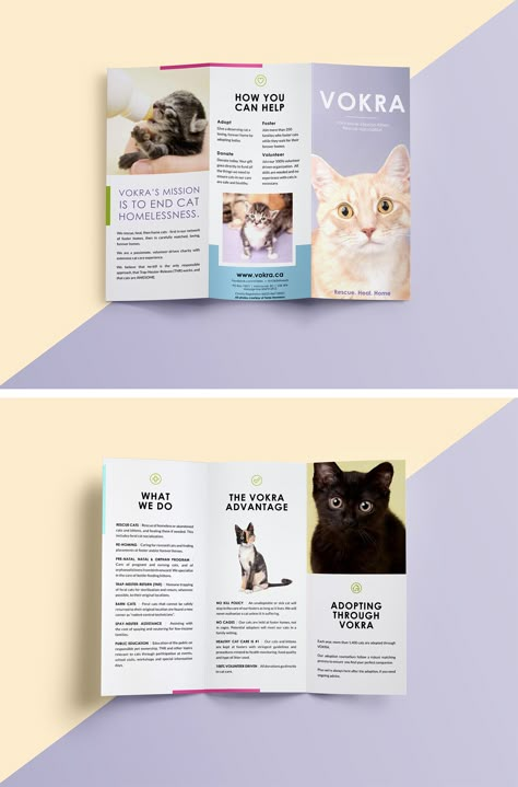 Trifold layout design for Vokra (Vancouver Orphan Kitten Rescue Association). Cat photography by Tania Hennessy, design by Alicia Carvalho | www.alicia-carvalho.com Information Pamphlet Design, Poster Slogan Ideas, Leaflet Design Layout, Animal Brochure, Event Poster Design Inspiration, Pet Advertising, Rack Card Design, Rack Cards Design, Brochure Design Layouts