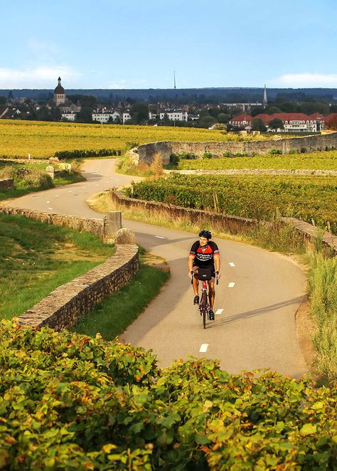 Auxerre France, Dordogne River, Road Travel, Bike Route, Cycling Trips, Bicycle Maintenance, Cycling Route, Cycling Touring, Bike Trips