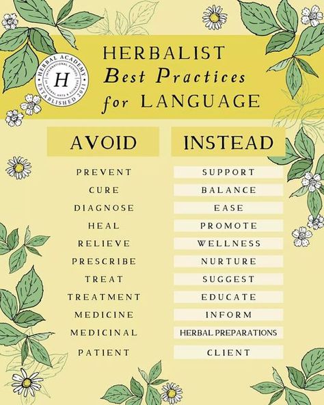 Beginners Guide To Herbalism, Herbal Infographic, Home Herbalist, Starter Apothecary Herbs, Herbal Shop Ideas, Apothecary Business Ideas, Herbal Business Ideas, How To Become A Certified Herbalist, Herb Business Ideas