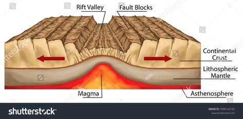 Plate tectonics, tectonic processes, interactions of the tectonic plates, types of plate boundaries, divergent boundary or divergent plate boundary, geography, geophysics, geomorphology, geologyinteractions#plates#types#processes Divergent Plate Boundary, Plate Tectonics Middle School, Types Of Plate Boundaries, Lithospheric Plates, Divergent Boundary, Tectonic Plate Movement, Plate Boundaries, Tectonic Plates, Plate Movement