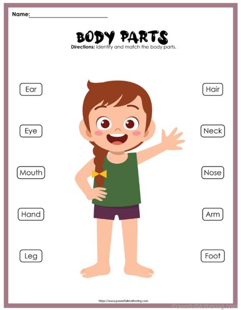 Parts Of The Body Printable Pack My Body Printable, Parts Of Body Activity For Kindergarten, Part Of The Body Activities, My Body Activities For Kids, Part Of Body For Kids, Parts Of The Body Worksheet Kindergarten, Body Worksheets For Preschool, Body Parts For Kids Worksheets, Body Parts For Kids Free Printable