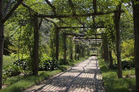 Old Westbury Gardens, Westbury Gardens, Old Westbury, Anniversary Photoshoot, Entrance Gates, Long Island, Vintage Wedding, Entrance, Plants