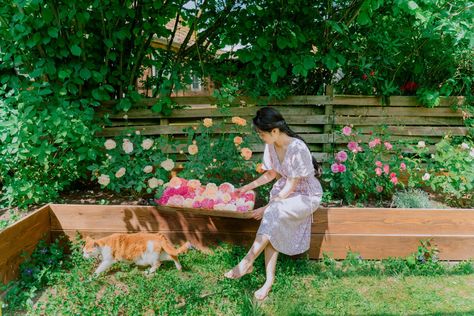 Rose garden | Skin care routine with roses — HER 86m2 - by Thuy Dao When To Plant Roses, Container Roses, Growing Vegetables Indoors, Thuy Dao, Her 86m2, Homemade Skincare, Self Care Day, Vegetable Garden Tips, Growing Microgreens