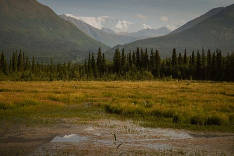 Driving the McCarthy Road - Is it worth it? — Handpicked Alaska - Customized Self-Drive Travel in Alaska Alaska Summer, Alaska Adventures, Long Lake, Is It Worth It, Catching Fish, Alaska Travel, Midnight Sun, Rent A Car, Greatest Adventure