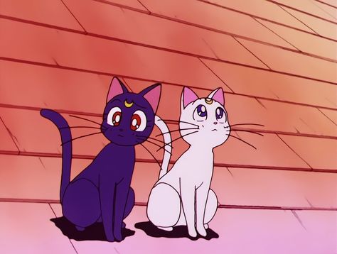 Artemis And Luna, Sailor Moon R, Luna And Artemis, Sailor Moon Luna, Nick And Judy, 90 Anime, Sailor Moon Character, Sailor Mercury, 2 Months