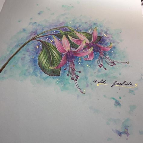 Puck Creations (@mellymartinelli) • Instagram-bilder og -videoer The Flower Year Leila Duly, The Flower Year Coloring Book, Coloured Pencil Techniques, Magical Jungle Johanna Basford, Leila Duly, Pencil Inspiration, Magical Jungle, Pencil Techniques, Book Pictures