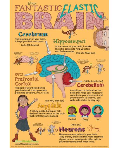 Fantastic Elastic Brain Poster. Love this! There is a book to go with it as well. | #mindcrowd #tgen #alzheimers www.mindcrowd.org Brain Poster, Mindset Poster, Brain Based Learning, Conscious Discipline, Brain Learning, Brain Facts, Whole Brain Teaching, The Human Brain, Brain Gym