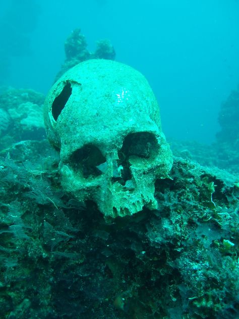 Chuuk Lagoon, also known as Truk Lagoon, is a sheltered body of water in the central Pacific. Description from articleactive.com. I searched for this on bing.com/images Lagoon Photography, Skeleton Underwater, Underwater Shipwreck Art, Underwater Graveyard, Underwater Ruins Art, Chuuk Lagoon, Creepy Underwater, Ship Wrecks Underwater, Skull Underwater