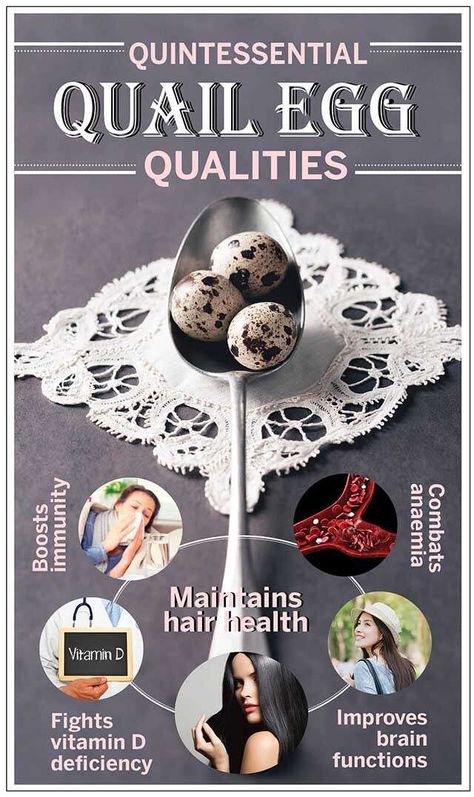 Quail Eggs Benefits, Eggs Packaging, Brain Vitamins, Raising Quail, Egg Benefits, Broiler Chicken, Egg Packaging, Fruit Health, Quails