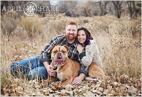 An Autumn engagement photo of a couple sitting with their huge French Mastiff… Couples With Dogs, Sitting Pictures, French Mastiff Dog, Dog Family Pictures, Family Dog Photos, Fall Photo Ideas, French Mastiff, Loveland Colorado, Couple Sitting