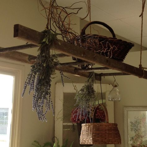 Old English Decorating Ideas | Hang an old ladder as a pot rack | DIY DECOR IDEAS Hanging Ladders From Ceiling, Ladder Plant Hanger Ceiling, Hanging Ladder Decor, Ladder Hanging From Ceiling With Lights, Kitchen Ladder Decor, Old Ladder Light Fixture, Old Ladder Hanging From Ceiling, Rustic Pot Racks, Old Ladder Decor