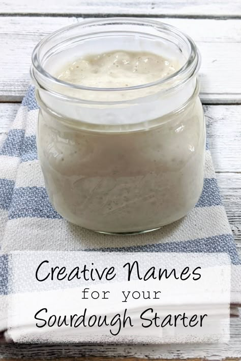 Unfed Sourdough Starter Recipes, Sourdough Name Ideas, Sourdough Starter Memes, Sourdough Starter Names List, Sourdough Names Ideas, Bread Puns Funny, Funny Sourdough Starter Names, Names For Sourdough Starter, Sourdough Bakery Names