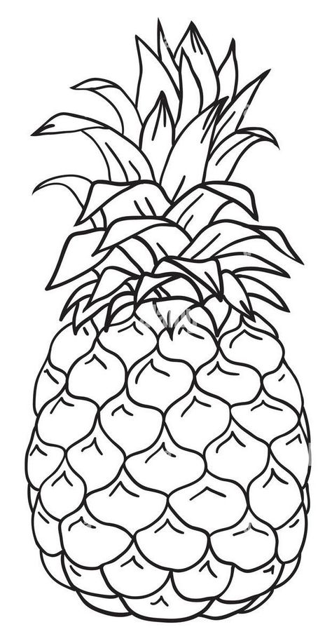 Pineapple Outline Drawing, Outline Drawings For Colouring, Pineapple Outline, Fruit Outline, Pineapple Sketch, Colouring Templates, Pineapple Template, Hibiscus Flower Drawing, Cookie Drawing