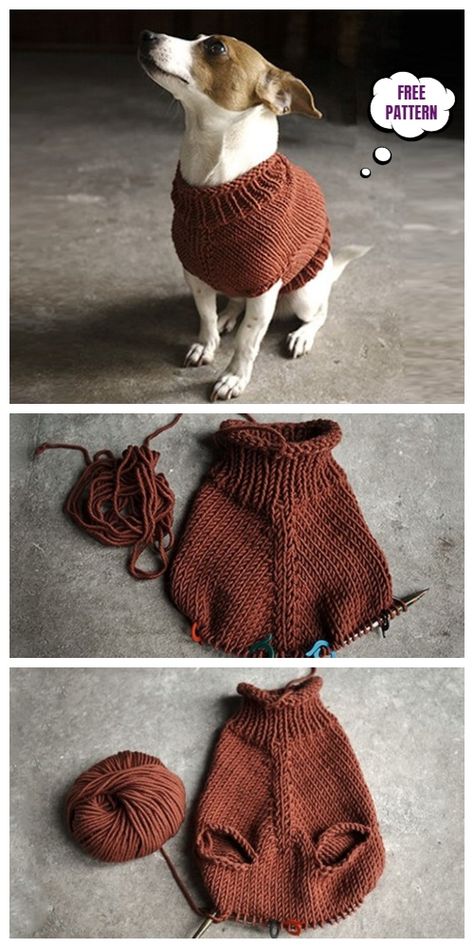 Knit The Juno Dog Jumper Free Knitting Pattern Projek Mengait, Corak Krusye, Sock Blockers, Knitted Dog Sweater Pattern, Knitting Patterns Free Dog, Dog Sweater Pattern, Easy Knitting Projects, Knit Dog Sweater, Dog Jumpers