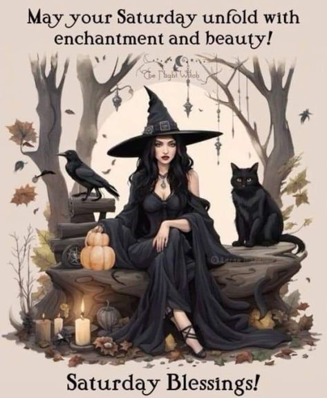 Happy Halloween Gif, Night Witches, Autumn Witch, Witch Pictures, Witch Quotes, Beautiful Witch, Witch Girl, Witchy Wallpaper, Halloween Artwork