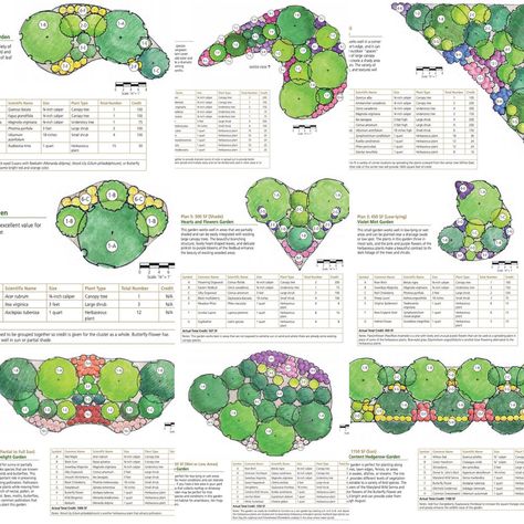 Maryland, DC and Virginia Native Plants: Native Garden Plans Galore! Front Yard Landscape Plan, Eastern Redbud Tree, Large Yard Landscaping, Native Plant Landscape, Eastern Redbud, Redbud Tree, Native Plant Gardening, 2024 Ideas, Planting Plan