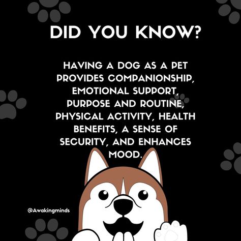 The psychology behind having a dog as a pet revolves around companionship, emotional support, establishing routine, engaging in physical activity, feeling secure, and experiencing mood improvement. How Many of You agree with this? #doglove #psychologyofpets #petdog Mood Improvement, Emotional Support Animal, Mood Enhancers, Physical Activity, Mental And Emotional Health, Emotional Support, Dog Memes, Mental Wellness, Emotional Health