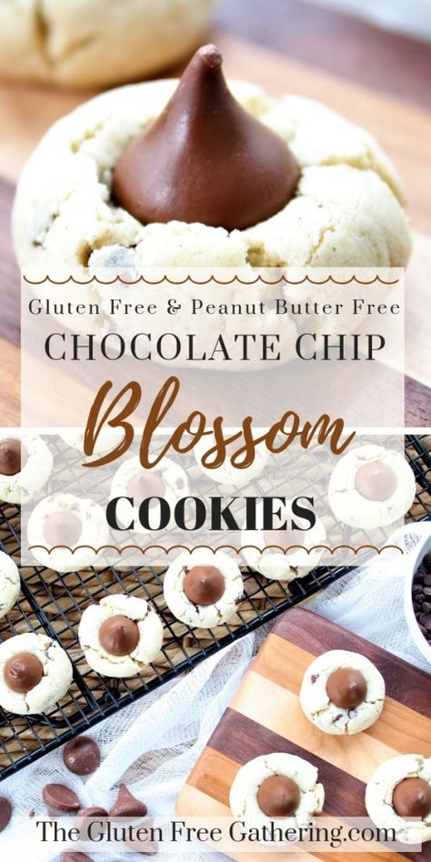 Low Carb Protein Bars Recipe, Gluten Free Cookies Easy, Soft Sugar Cookie, Cookies Peanut Butter, Gluten Free Christmas Cookies, Miniature Chocolate, Gluten Free Cookie Recipes, Blossom Cookies, Protein Bar Recipes