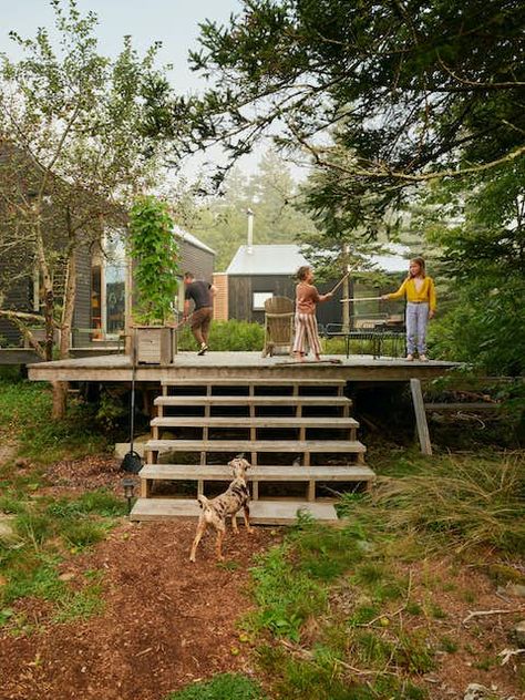 Construction Diary: A Maine Designer Builds His Family’s Home Completely by Hand - Dwell Woodland Landscaping, Deck Walkway, Cabin Landscaping, Modern Cabins, Patio Courtyard, Pine Tar, Clapboard Siding, Dwell Magazine, The Call Of The Wild