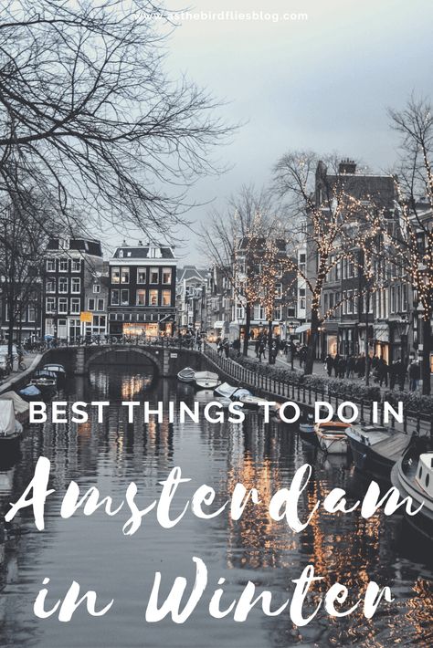 Amsterdam Travel: The Best Things to do in Amsterdam in Winter - Updated for 2020 : As the Bird flies... Travel, Writing, and Other Journeys Amsterdam In December, Amsterdam January, Benelux Travel, Amsterdam In Winter, Amsterdam Christmas, Amsterdam Winter, Travel Netherlands, Budget Trips, Amsterdam Trip