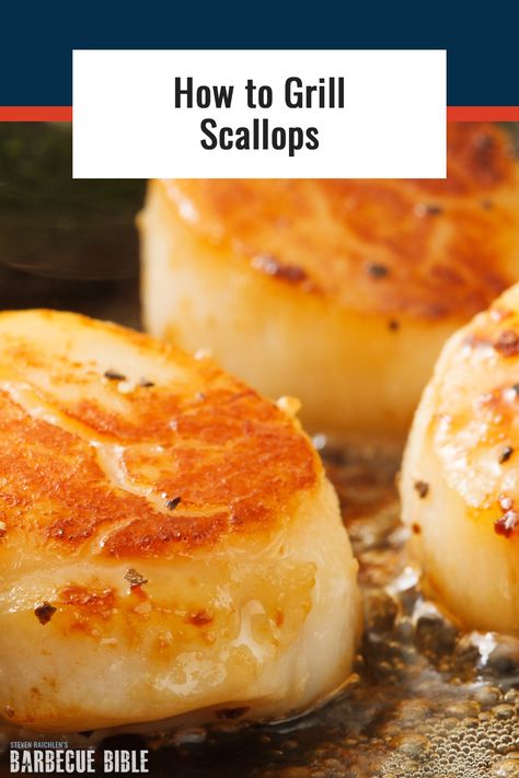 Grill Scallops, Bbq Scallops, Grilled Scallops Recipe, Frozen Scallops, Fresh Scallops, Seafood Pizza, How To Cook Scallops, Grilled Scallops, Dried Scallops